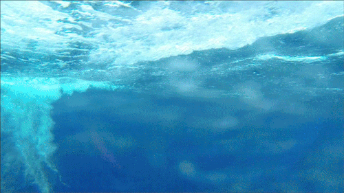 http://upforme.ru/uploads/0017/82/d9/3/16385.gif
