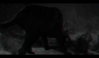 http://upforme.ru/uploads/0017/9e/82/1351/295141.gif