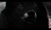http://upforme.ru/uploads/0017/9e/82/1351/464969.gif