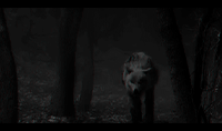 http://upforme.ru/uploads/0017/9e/82/1351/910642.gif