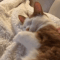 http://upforme.ru/uploads/0017/9e/82/1371/607039.gif