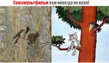 http://upforme.ru/uploads/0017/a0/a2/137/t20490.jpg