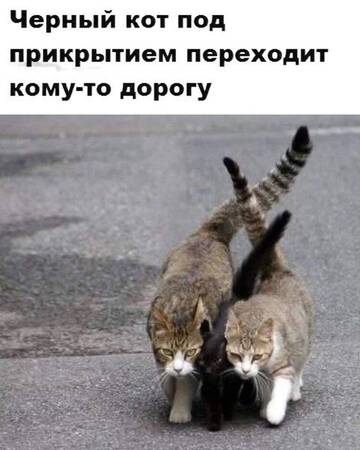 http://upforme.ru/uploads/0017/a0/a2/137/t290802.jpg