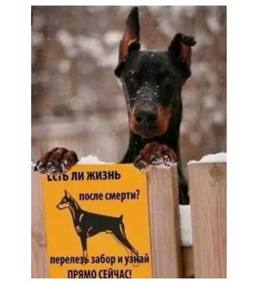 http://upforme.ru/uploads/0017/a0/a2/137/t48653.jpg