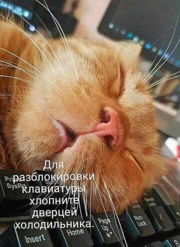 http://upforme.ru/uploads/0017/a0/a2/137/t759959.jpg