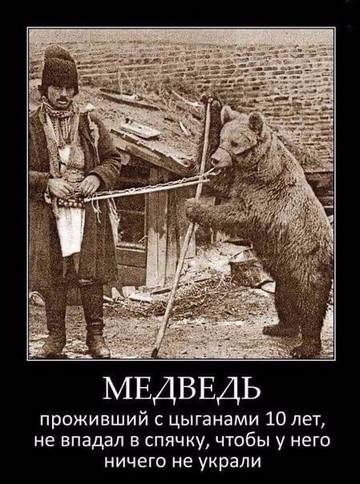 http://upforme.ru/uploads/0017/a0/a2/137/t79684.jpg