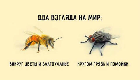 http://upforme.ru/uploads/0017/a0/a2/14/t229170.jpg
