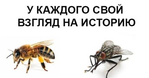 http://upforme.ru/uploads/0017/a0/a2/14/t39946.jpg