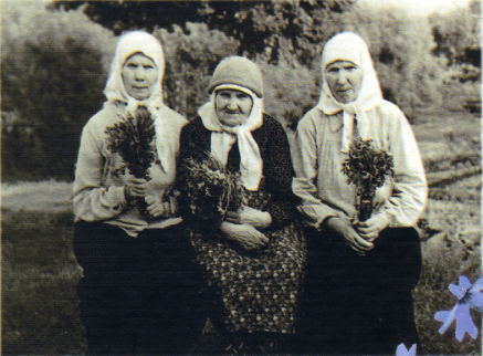 http://upforme.ru/uploads/0017/a0/a2/153/192857.png