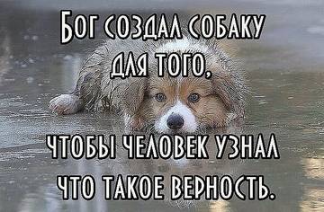 http://upforme.ru/uploads/0017/a0/a2/202/t514784.jpg