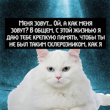 http://upforme.ru/uploads/0017/a5/fb/161/t649631.jpg