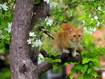 http://upforme.ru/uploads/0017/a5/fb/190/t690617.jpg