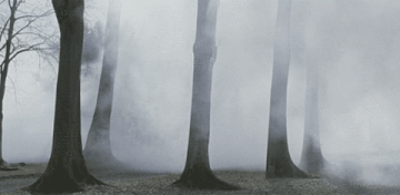 http://upforme.ru/uploads/0017/a5/fb/28/t392186.gif