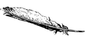 http://upforme.ru/uploads/0017/aa/81/377/t962068.png