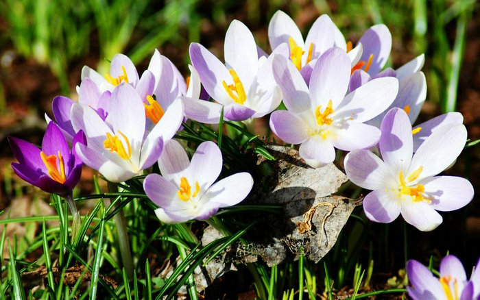http://upforme.ru/uploads/0017/aa/81/6/38848.jpg