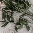 http://upforme.ru/uploads/0017/c4/a9/2/90888.jpg