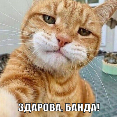 http://upforme.ru/uploads/0017/cd/0a/210/522006.jpg