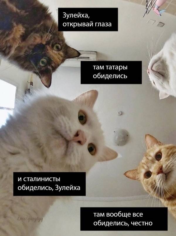 http://upforme.ru/uploads/0017/cd/0a/42/t390500.jpg