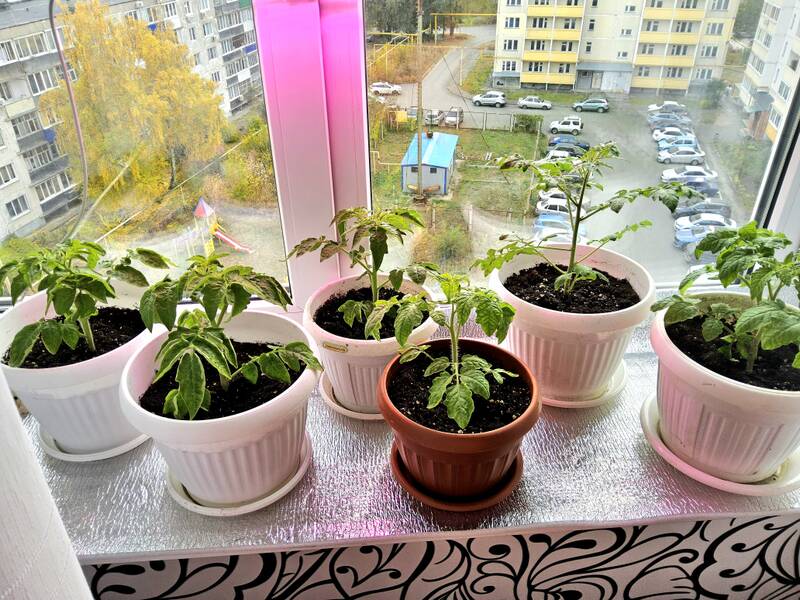 http://upforme.ru/uploads/0017/d2/91/11/213819.jpg
