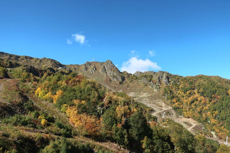 http://upforme.ru/uploads/0017/d2/91/11/451195.jpg
