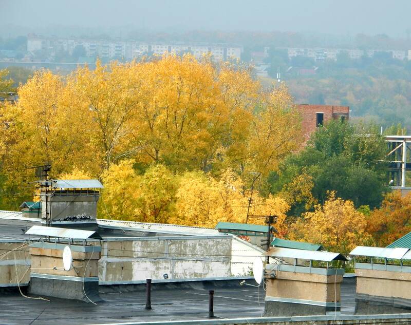 http://upforme.ru/uploads/0017/d2/91/11/462551.jpg