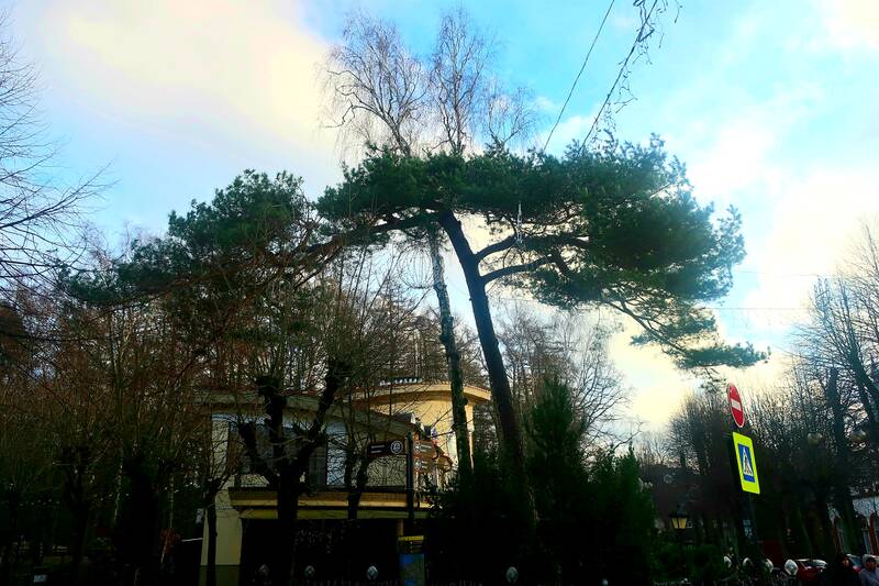 http://upforme.ru/uploads/0017/d2/91/11/502073.jpg