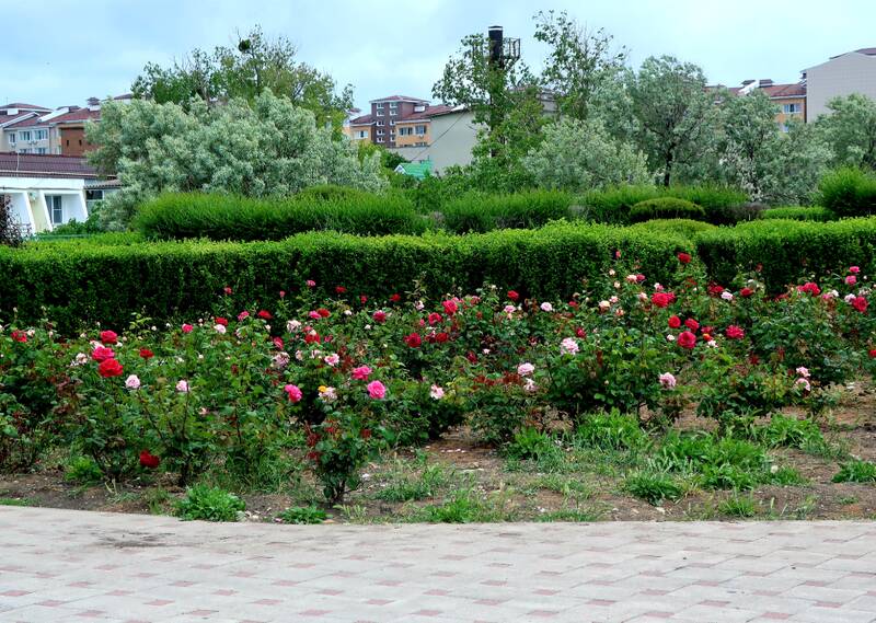 http://upforme.ru/uploads/0017/d2/91/11/532719.jpg