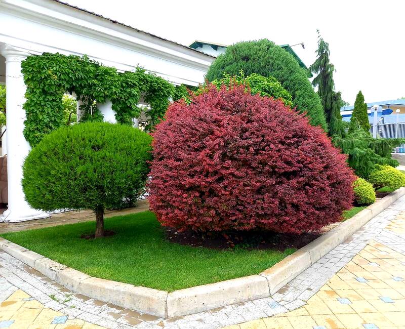 http://upforme.ru/uploads/0017/d2/91/11/762078.jpg