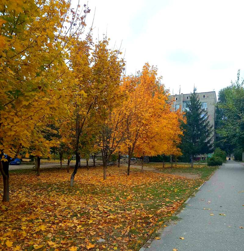 http://upforme.ru/uploads/0017/d2/91/11/871496.jpg
