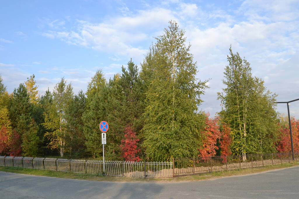 http://upforme.ru/uploads/0017/d2/91/26/177025.jpg