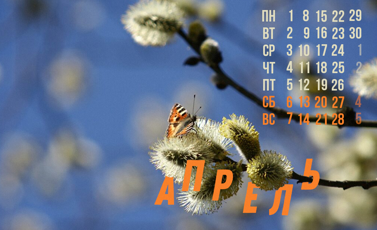 http://upforme.ru/uploads/0017/d2/91/26/20161.jpg
