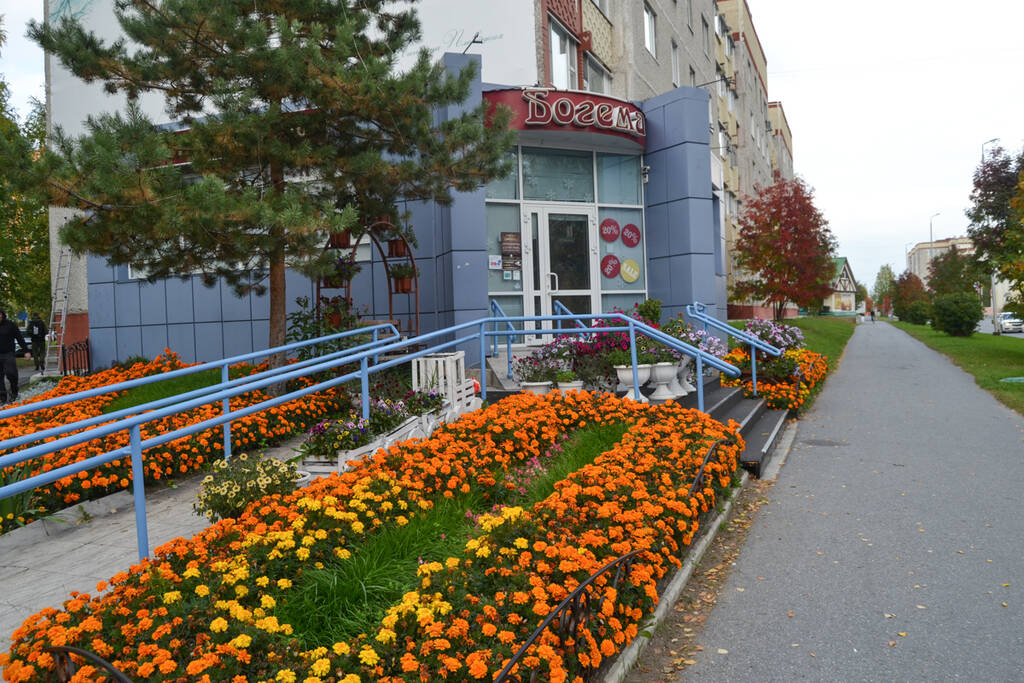 http://upforme.ru/uploads/0017/d2/91/26/953112.jpg