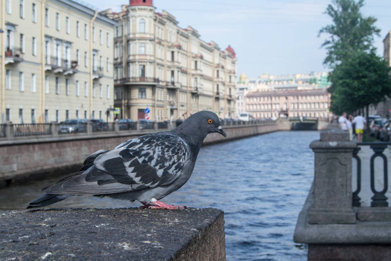 http://upforme.ru/uploads/0017/d2/91/65/13228.jpg
