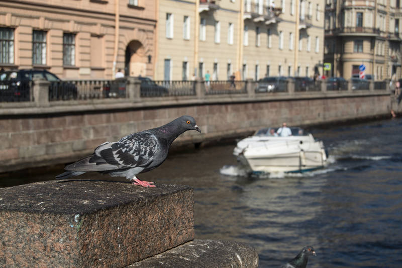 http://upforme.ru/uploads/0017/d2/91/65/95442.jpg