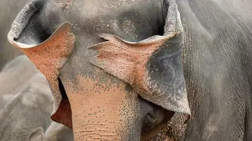 � ������� ������: ������ �����