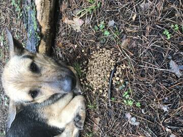 (30) ����� ����� � ����� ������� #2