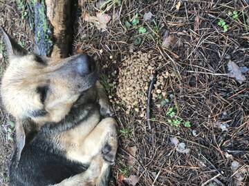 (30) ����� ����� � ����� ������� #2