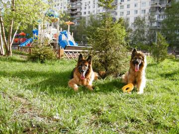 http://upforme.ru/uploads/0018/1d/e0/187/t441977.jpg