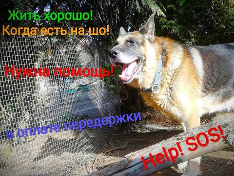 http://upforme.ru/uploads/0018/1d/e0/2/t11568.jpg