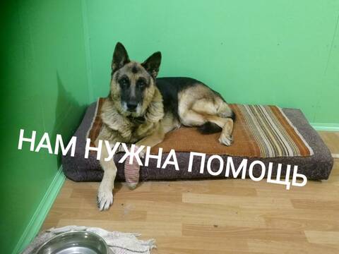 http://upforme.ru/uploads/0018/1d/e0/2/t183310.jpg