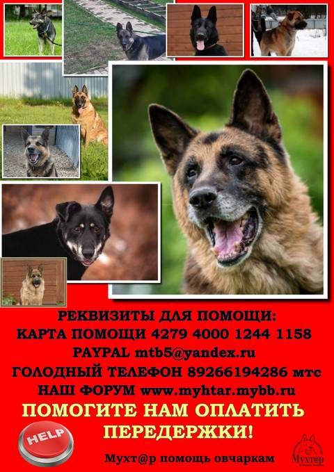 http://upforme.ru/uploads/0018/1d/e0/2/t252698.jpg