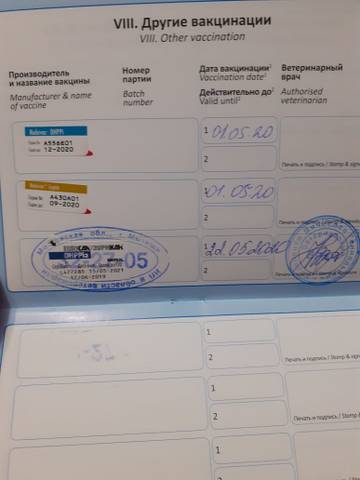 http://upforme.ru/uploads/0018/1d/e0/2/t35300.jpg
