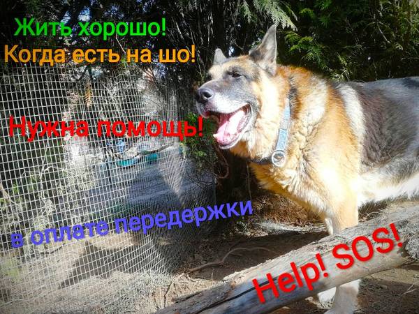 http://upforme.ru/uploads/0018/1d/e0/2/t36514.jpg