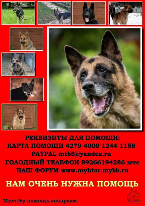 http://upforme.ru/uploads/0018/1d/e0/2/t417475.jpg