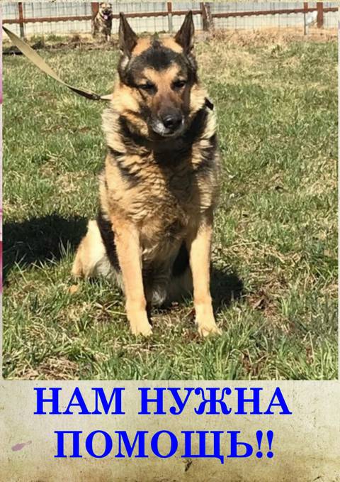 http://upforme.ru/uploads/0018/1d/e0/2/t502018.jpg