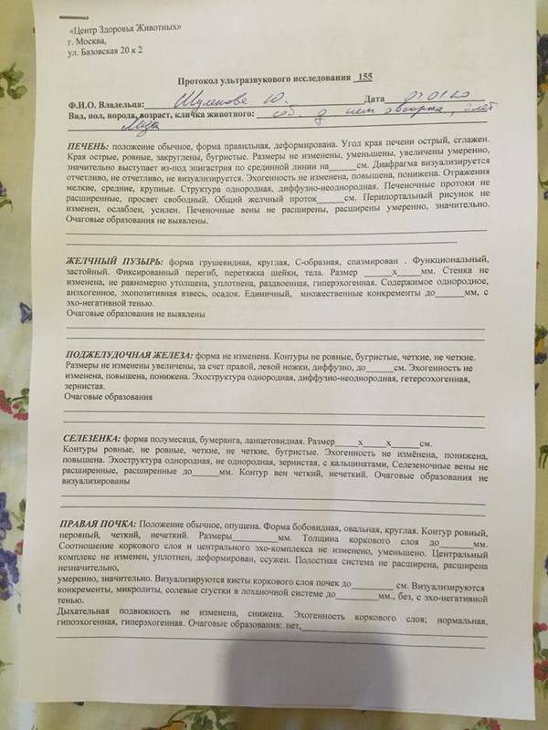 http://upforme.ru/uploads/0018/1d/e0/2/t50756.jpg