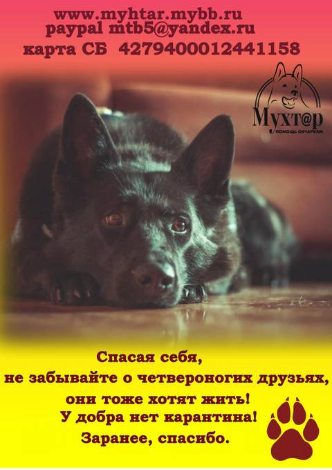 http://upforme.ru/uploads/0018/1d/e0/2/t63055.jpg