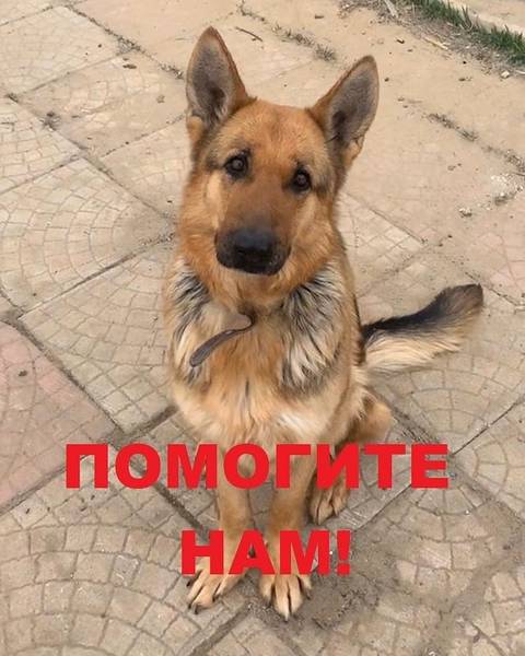 http://upforme.ru/uploads/0018/1d/e0/2/t718303.jpg