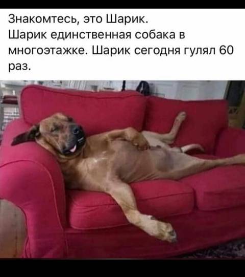 http://upforme.ru/uploads/0018/1d/e0/2/t73717.jpg