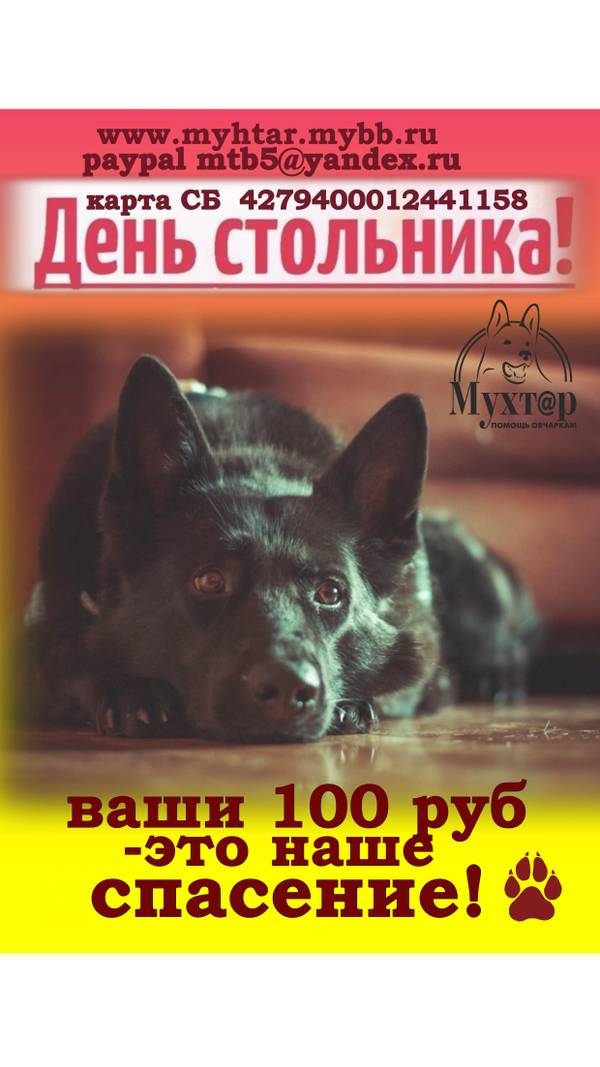 http://upforme.ru/uploads/0018/1d/e0/2/t87398.jpg